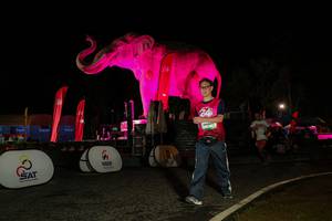 BIB: 
                            <button type="button" onclick="openModal(26534475)" class="btn btn-primary btn-sm float-right btn-popup" data-toggle="modal" data-target=".modal-high-quality">
                        <i class="fas fa-shopping-cart"></i> Add to Cart
                    </button>
                                            <button type="button" onclick="isThisMe(26534475, true)" class="btn btn-success btn-sm float-right btn-popup btn-isme hidden" data-toggle="tooltip" data-placement="bottom" title="นี่คือรูปของคุณใช่ไหม คลิกที่นี่เพื่อเอาเข้าอัลบั้ม">
                        <i class="fas fa-plus"></i> Add to album
                    </button>
                    <button type="button" onclick="isThisMe(26534475, false)" class="btn btn-warning btn-sm float-right btn-popup btn-isnotme hidden">
                        <i class="fas fa-ban"></i> Remove from album
                    </button>